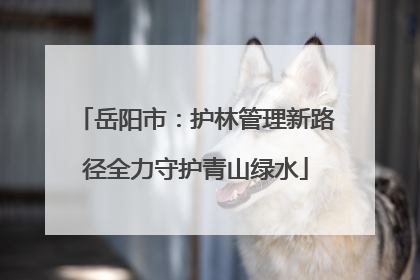 岳阳市：护林管理新路径全力守护青山绿水