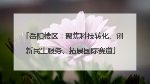 岳阳楼区：聚焦科技转化、创新民生服务、拓展国际赛道