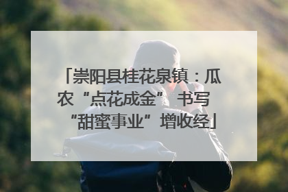 崇阳县桂花泉镇：瓜农“点花成金” 书写“甜蜜事业”增收经