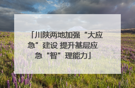 川陕两地加强“大应急”建设 提升基层应急“智”理能力