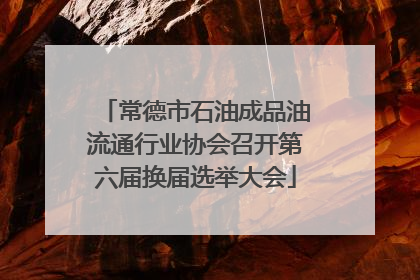 常德市石油成品油流通行业协会召开第六届换届选举大会