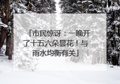 市民惊讶：一晚开了十五六朵昙花！与雨水均衡有关