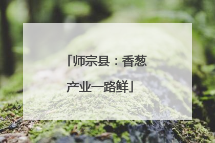 师宗县：香葱产业一路鲜