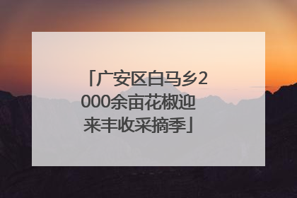 广安区白马乡2000余亩花椒迎来丰收采摘季