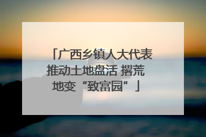 广西乡镇人大代表推动土地盘活 撂荒地变“致富园”