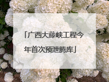 广西大藤峡工程今年首次预泄腾库