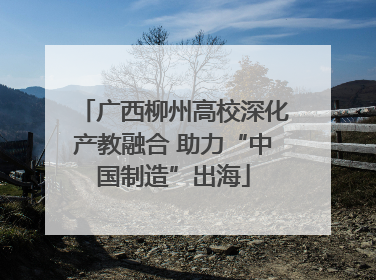 广西柳州高校深化产教融合 助力“中国制造”出海