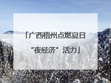 广西梧州点燃夏日“夜经济”活力