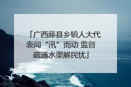 广西藤县乡镇人大代表闻“汛”而动 监督疏通水渠解民忧