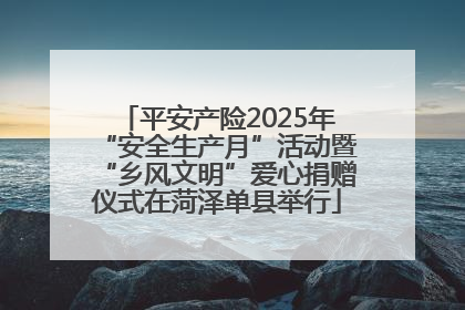平安产险2025年“安全生产月”活动暨“乡风文明”爱心捐赠仪式在菏泽单县举行