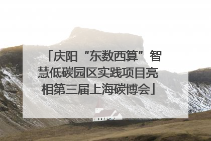 庆阳“东数西算”智慧低碳园区实践项目亮相第三届上海碳博会
