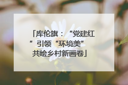 库伦旗：“党建红”引领“环境美” 共绘乡村新画卷