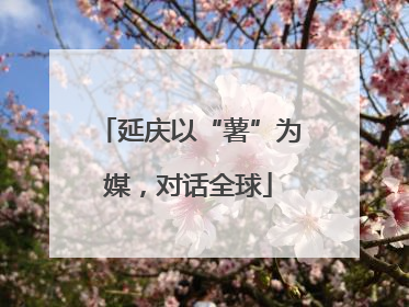 延庆以“薯”为媒，对话全球