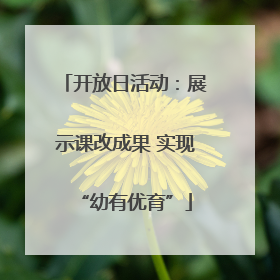 开放日活动：展示课改成果 实现“幼有优育”