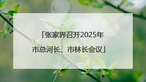 张家界召开2025年市总河长、市林长会议
