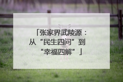 张家界武陵源：从“民生四问”到“幸福四解”