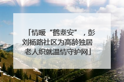 情暖“鹤耋安”，彭刘杨路社区为高龄独居老人织就温情守护网