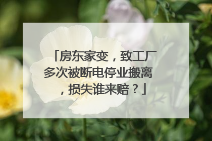 房东家变，致工厂多次被断电停业搬离，损失谁来赔？