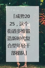 成势2025，这个街道多维锻造新时代复合型年轻干部梯队