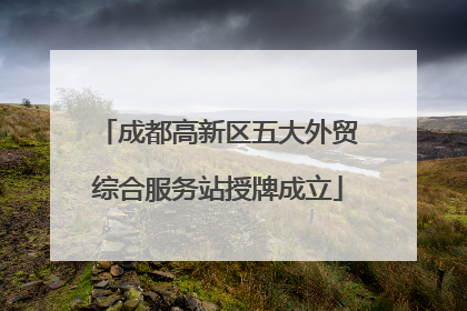 成都高新区五大外贸综合服务站授牌成立