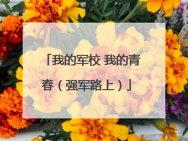 我的军校 我的青春（强军路上）