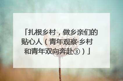 扎根乡村，做乡亲们的贴心人（青年观察·乡村和青年双向奔赴③）