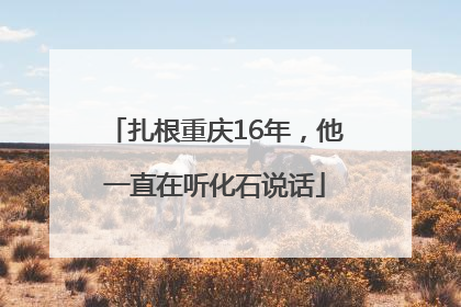 扎根重庆16年，他一直在听化石说话