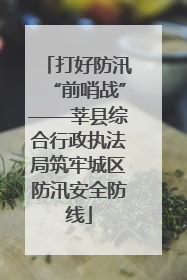 打好防汛“前哨战”——莘县综合行政执法局筑牢城区防汛安全防线