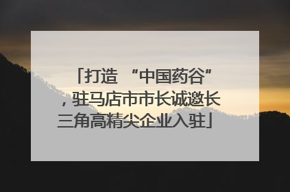 打造 “中国药谷”，驻马店市市长诚邀长三角高精尖企业入驻