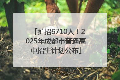 扩招6710人！2025年成都市普通高中招生计划公布