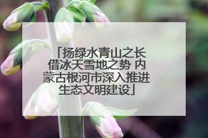 扬绿水青山之长 借冰天雪地之势 内蒙古根河市深入推进生态文明建设