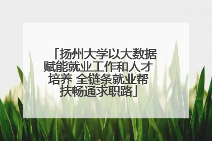 扬州大学以大数据赋能就业工作和人才培养 全链条就业帮扶畅通求职路