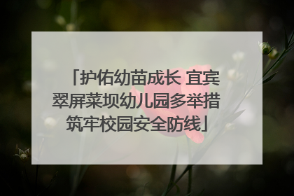 护佑幼苗成长 宜宾翠屏菜坝幼儿园多举措筑牢校园安全防线