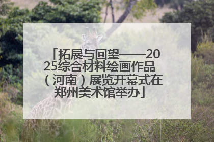 拓展与回望——2025综合材料绘画作品（河南）展览开幕式在郑州美术馆举办