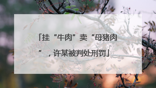 挂“牛肉”卖“母猪肉”，许某被判处刑罚