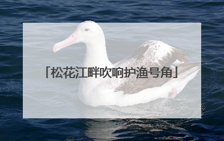 松花江畔吹响护渔号角