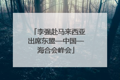李强赴马来西亚出席东盟—中国—海合会峰会