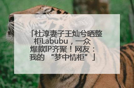 杜淳妻子王灿兮晒整柜Labubu，一众爆款IP齐聚！网友：我的 “梦中情柜”