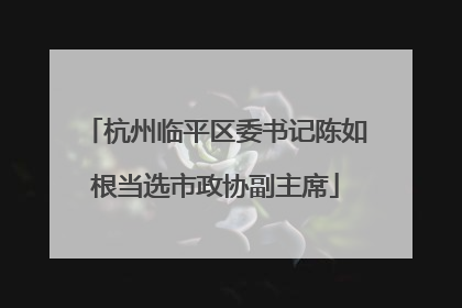 杭州临平区委书记陈如根当选市政协副主席