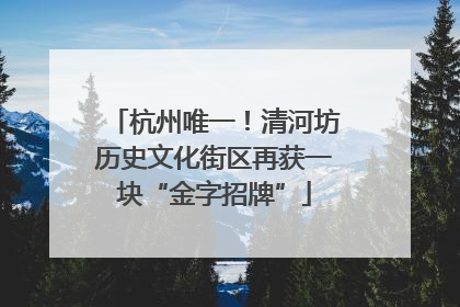 杭州唯一！清河坊历史文化街区再获一块“金字招牌”