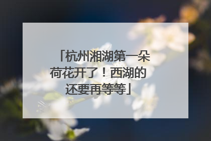 杭州湘湖第一朵荷花开了！西湖的还要再等等