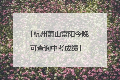 杭州萧山富阳今晚可查询中考成绩