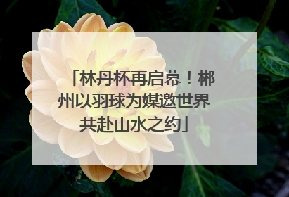 林丹杯再启幕！郴州以羽球为媒邀世界共赴山水之约