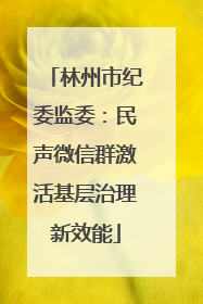 林州市纪委监委：民声微信群激活基层治理新效能