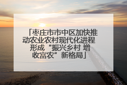 枣庄市市中区加快推动农业农村现代化进程 形成“振兴乡村 增收富农”新格局