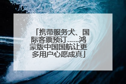 携带服务犬、国际客票预订……鸿蒙版中国国航让更多用户心愿成真