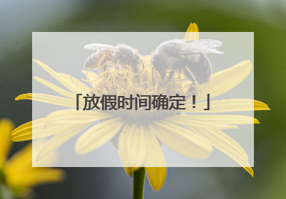 放假时间确定！