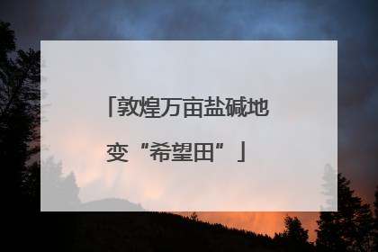 敦煌万亩盐碱地变“希望田”