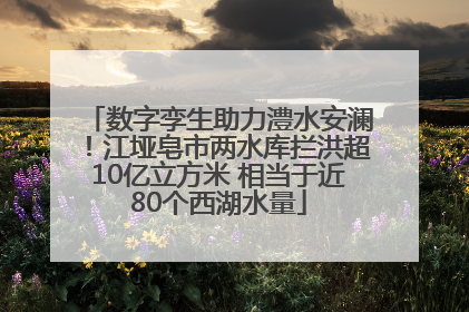 数字孪生助力澧水安澜！江垭皂市两水库拦洪超10亿立方米 相当于近80个西湖水量