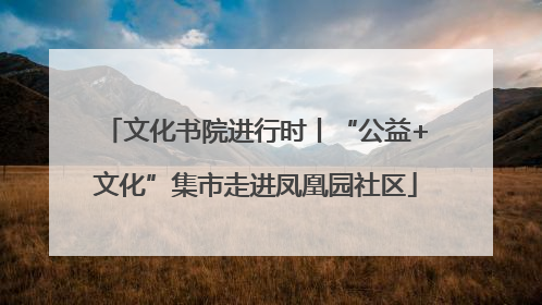 文化书院进行时丨“公益+文化”集市走进凤凰园社区